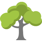 Sun City Tree Removal