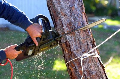 Tree Cutting Equipment
