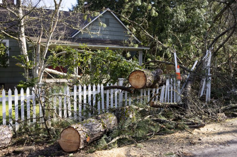 Property Restoration