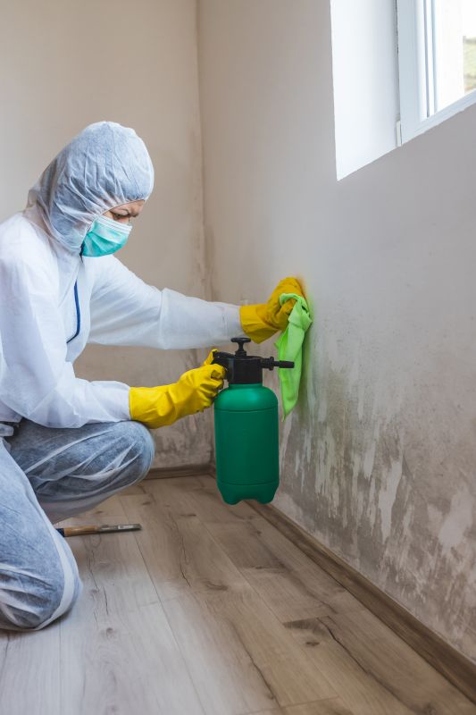 Water Removal Service