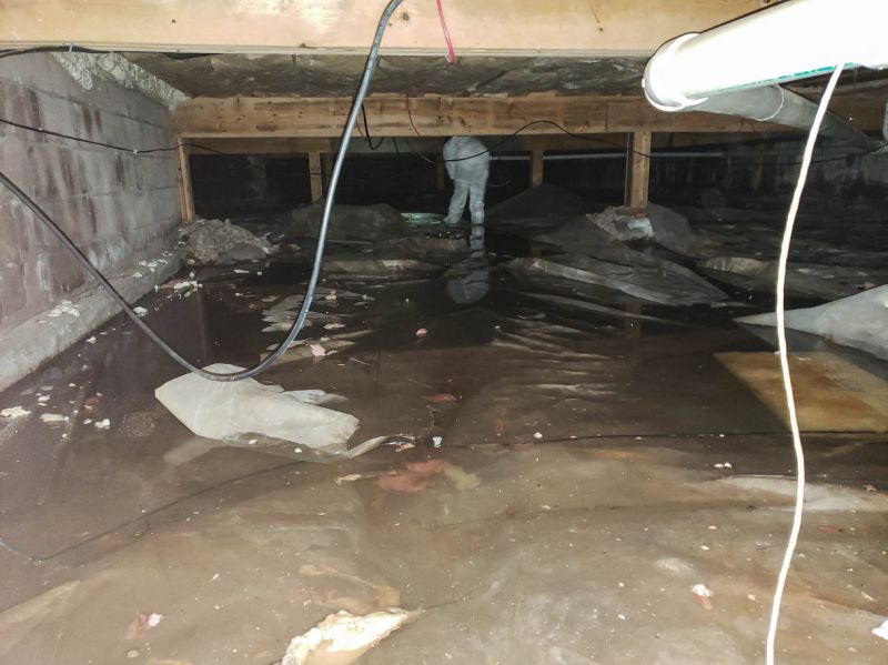 Water Removal Service